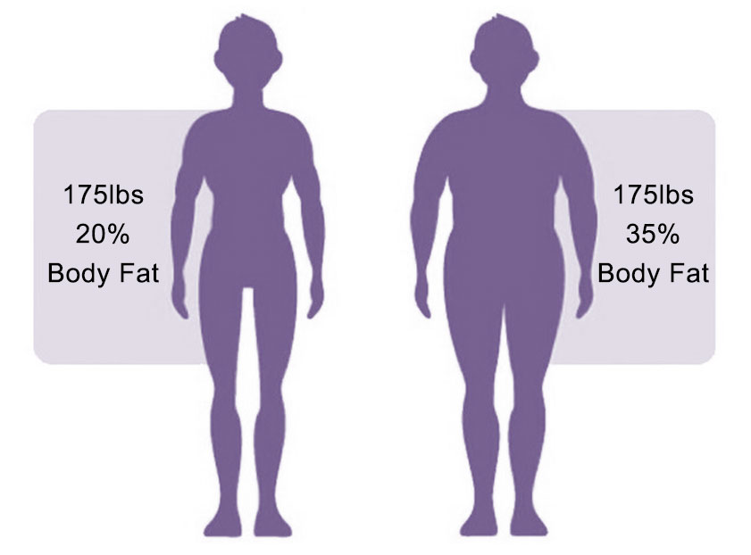 what is the definition of body fat composition