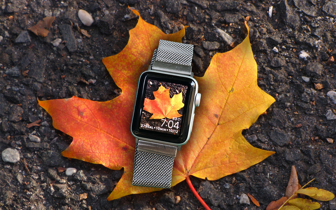 the-easiest-way-to-set-your-favorite-photo-as-your-apple-watch-face