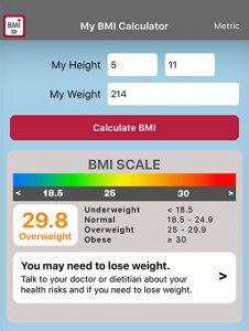 Healthy BMI? Is Your Body Mass Index a Big Fat Lie? - HealthTechCoach