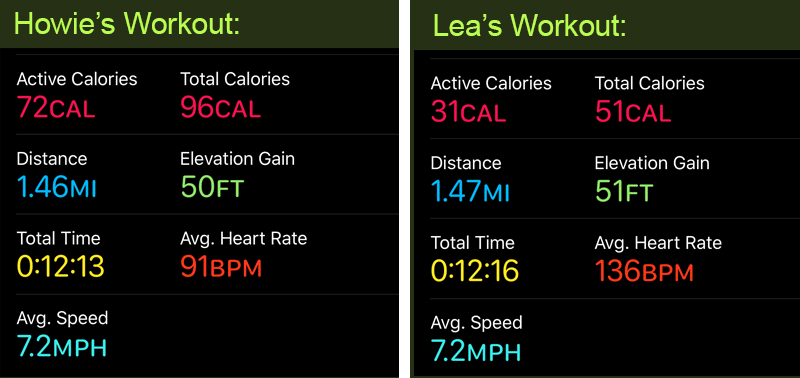 apple watch log workout